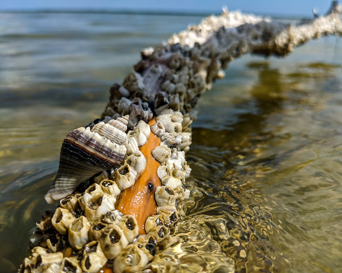 Impression de cadre personnalisé