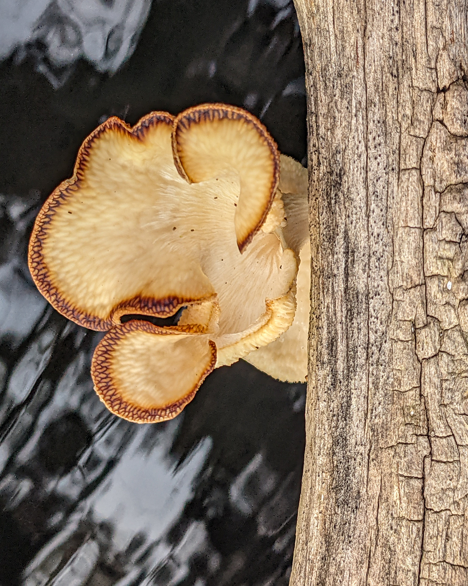 Impression de cadre personnalisé