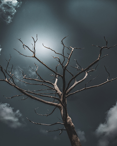 Dead Tree