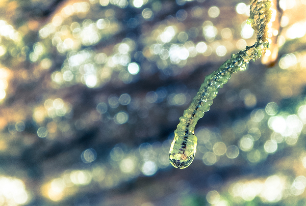 Beautified Slime Print