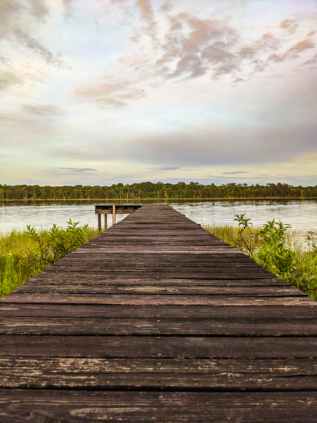 Summer Dock Print