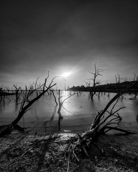 Black and white Texas lake Print