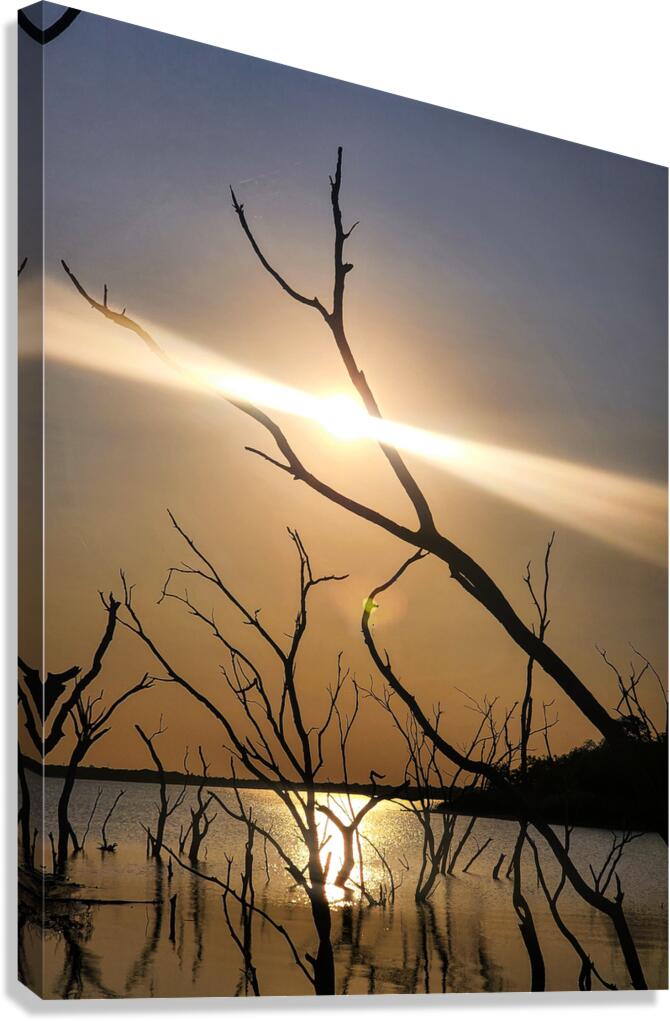 Light on the lake Canvas Print