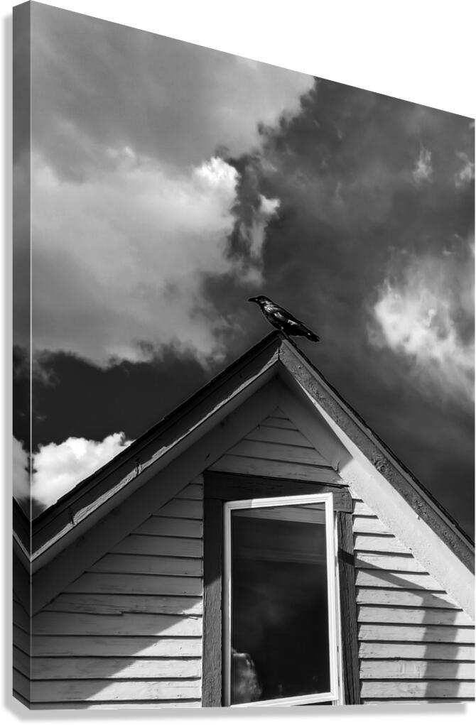 Black Bird on roof Canvas Print