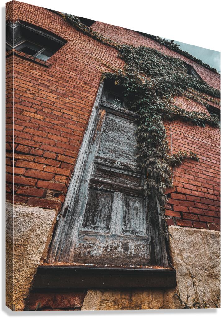 Door Vine Canvas Print