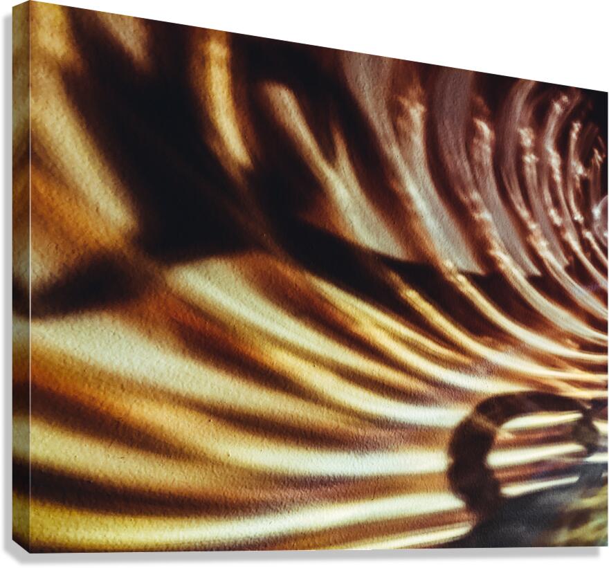 Shadow Work Canvas Print