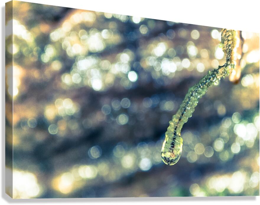 Beautified Slime Canvas Print