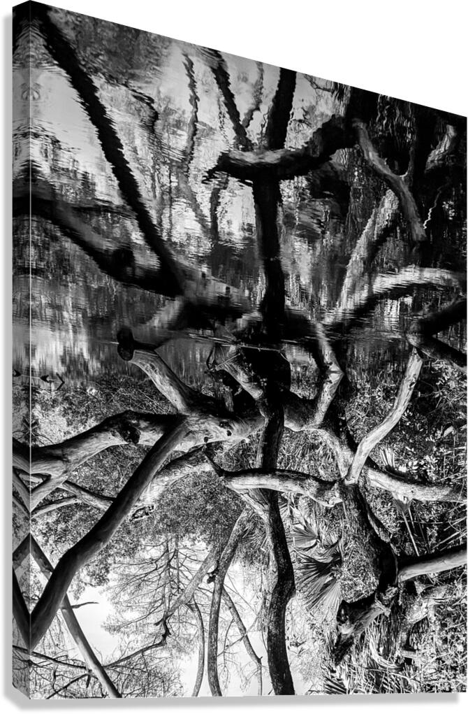 Black and White Reflection Canvas Print