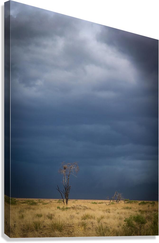Stormy Sky Canvas Print