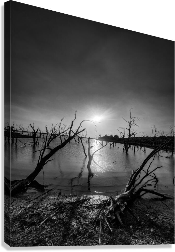Black and white Texas lake Canvas Print