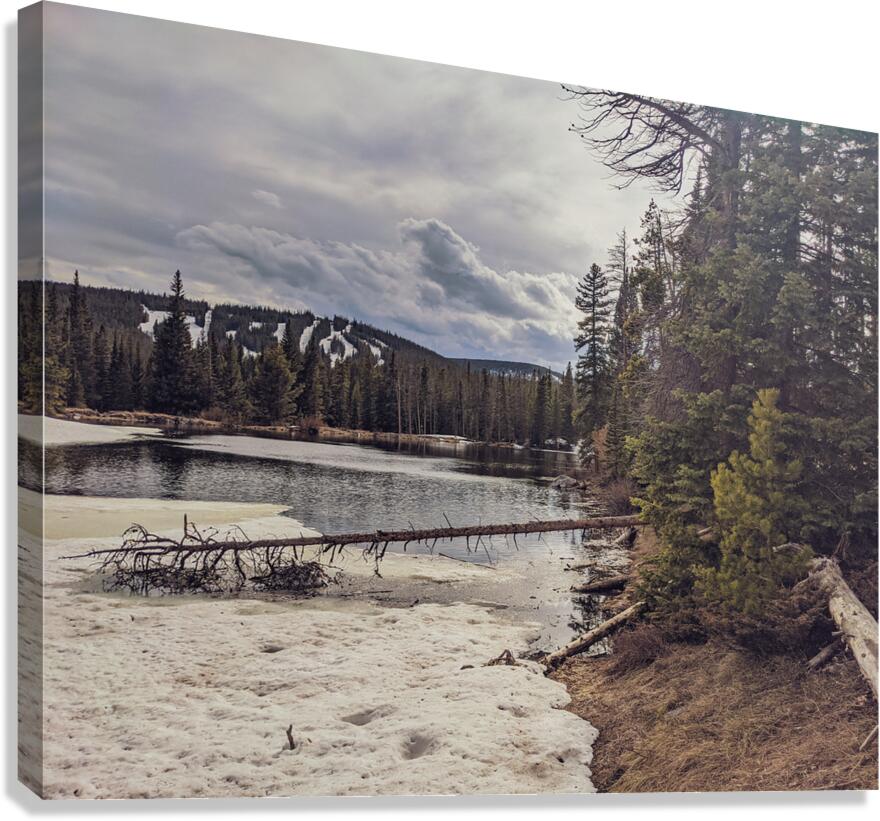 Snowy Colorado Canvas Print