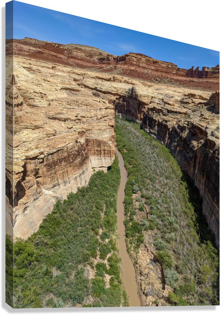 Canyon Canvas Print