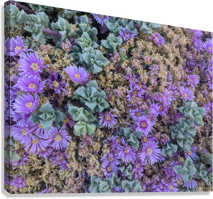 Pastel Plants Canvas Print