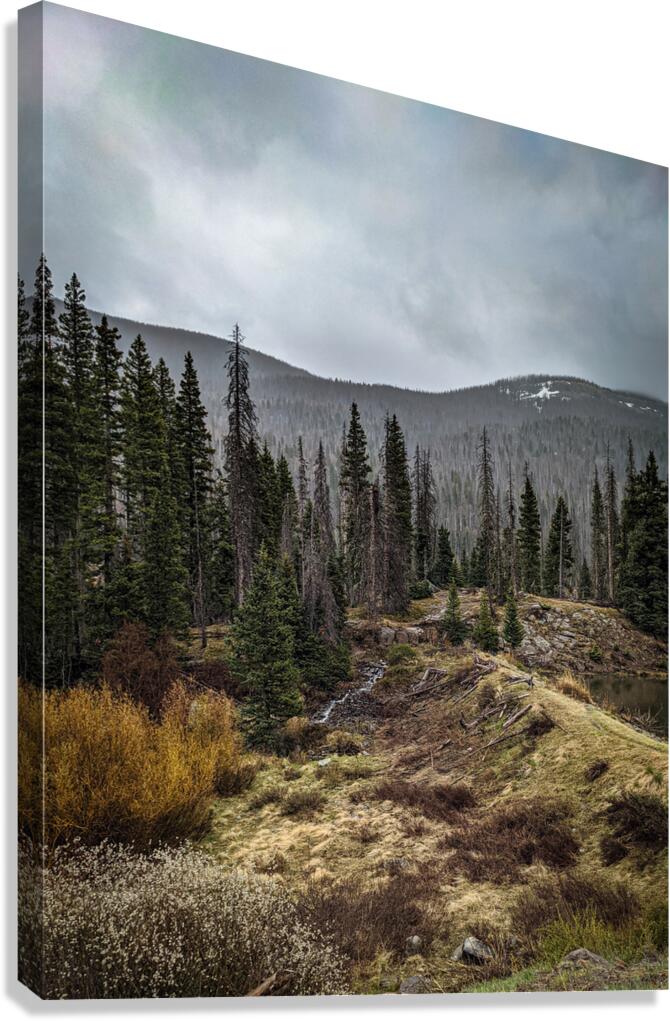 Moody Colorado Canvas Print