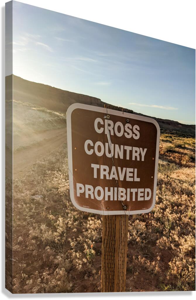Cross country Canvas Print