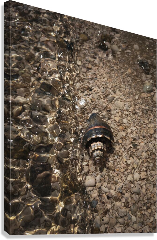 Before the wave Canvas Print