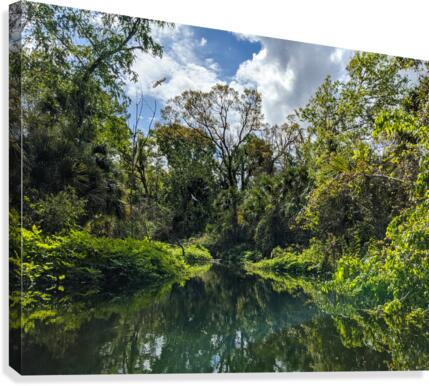 Paradise Canvas Print