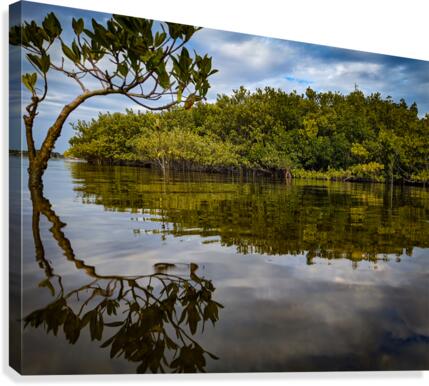 Island Time Canvas Print
