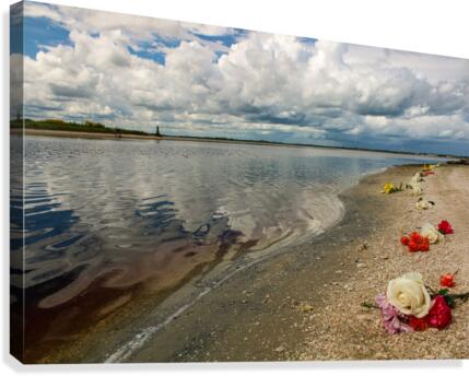 Floral River1 Canvas Print