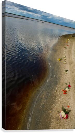 floral river Canvas Print