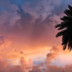 Daytona Beach Sunset