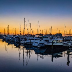 Marina Sunrise