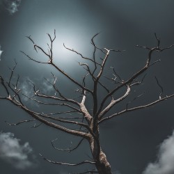 Dead Tree