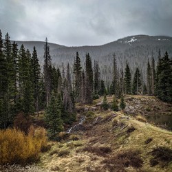 Moody Colorado
