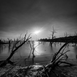 Black and white Texas lake