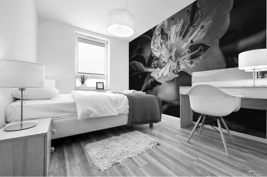 Flower Black and White Mural print
