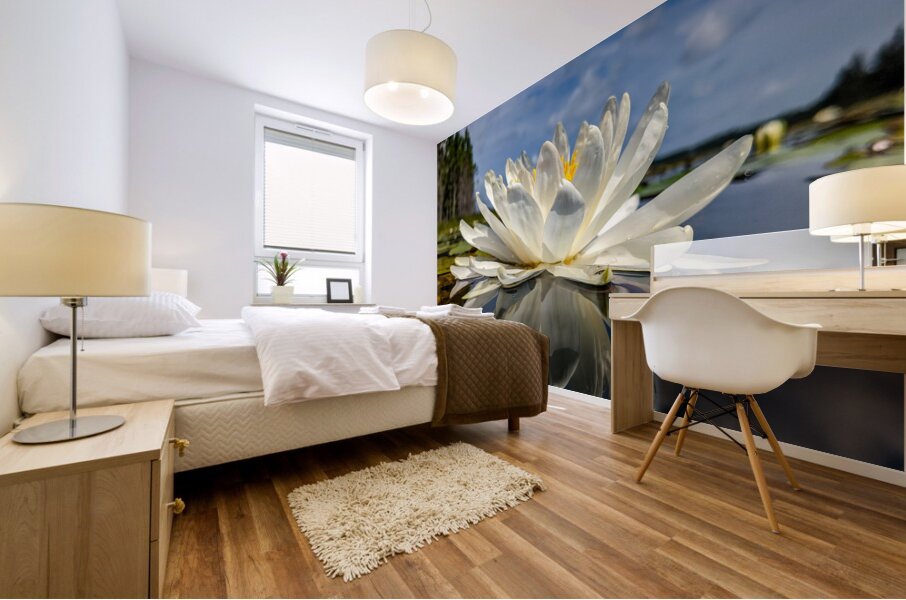 Water Lily Mural print