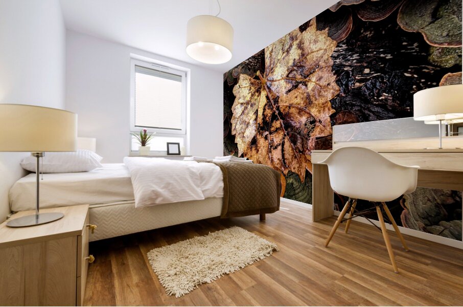 Leaf Fungus Mural print
