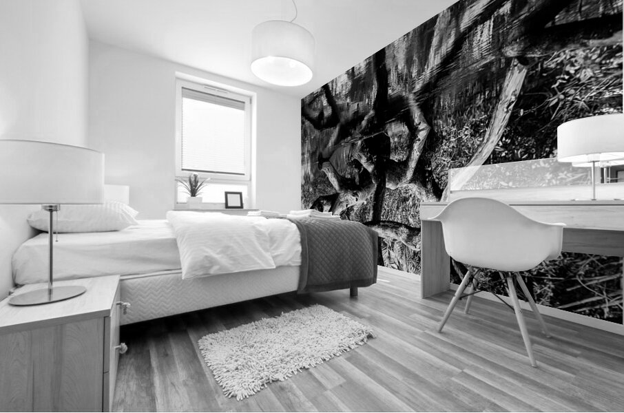 Black and White Reflection Mural print