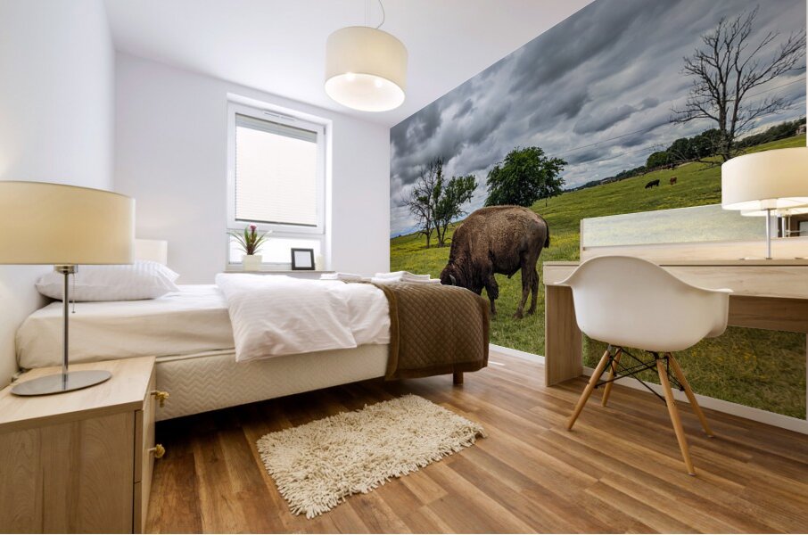 Bison Mural print