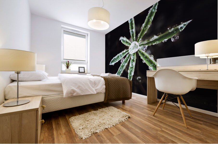 Dew plant Mural print