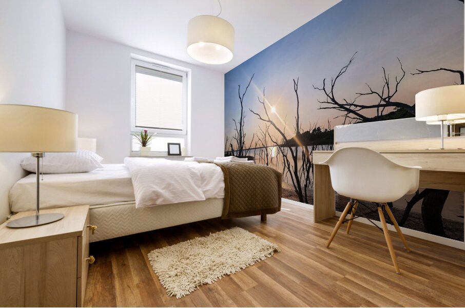 Texas Reflections Mural print