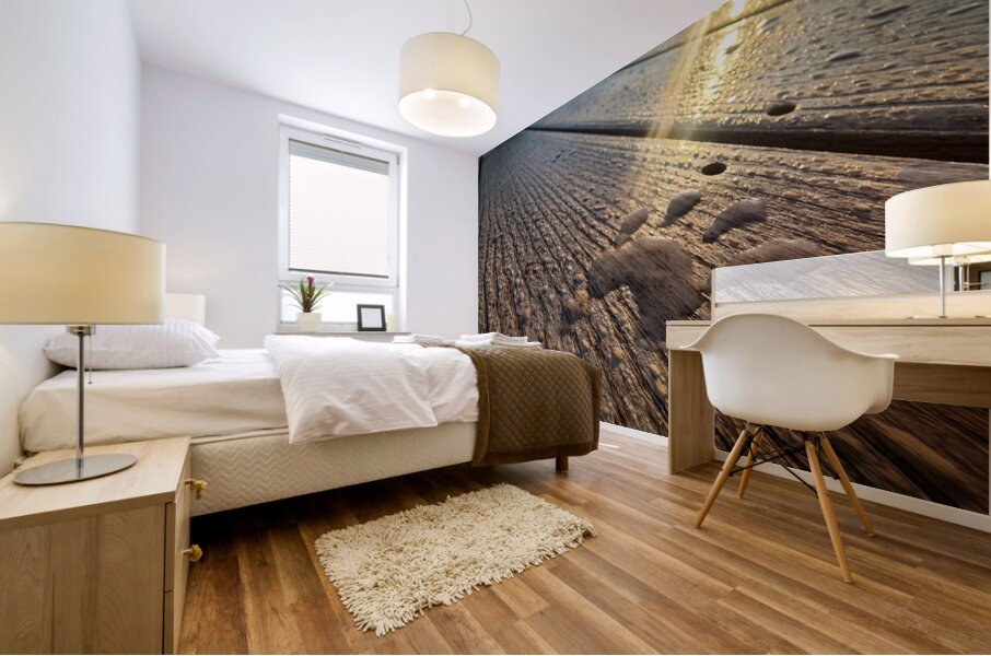 Racoon Paw in Dew Mural print