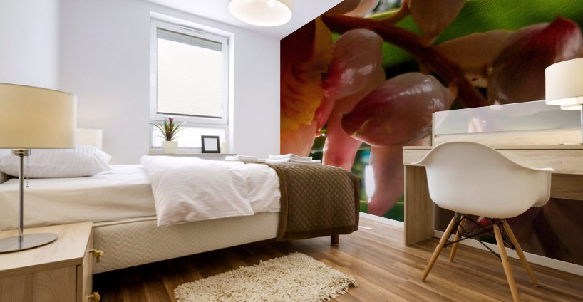 MORNING FLOWER Mural print