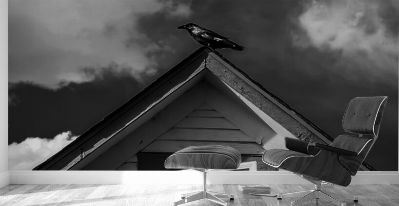 Black Bird on roof Wall Murals
