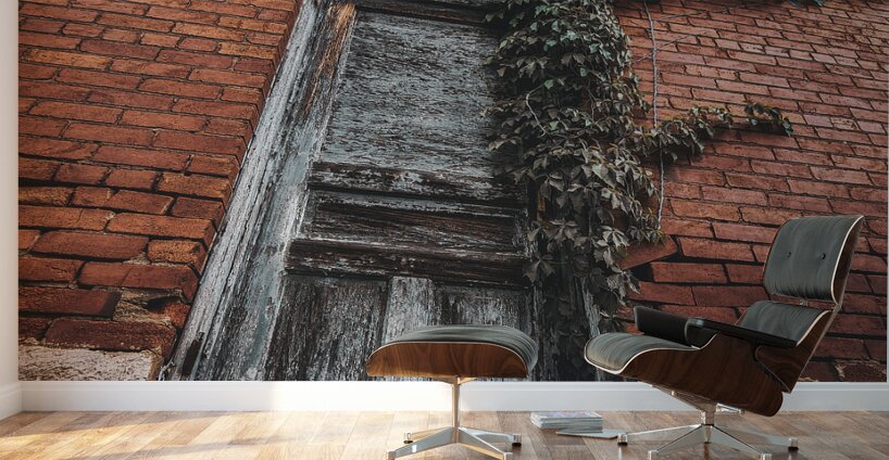 Door Vine Wall Murals