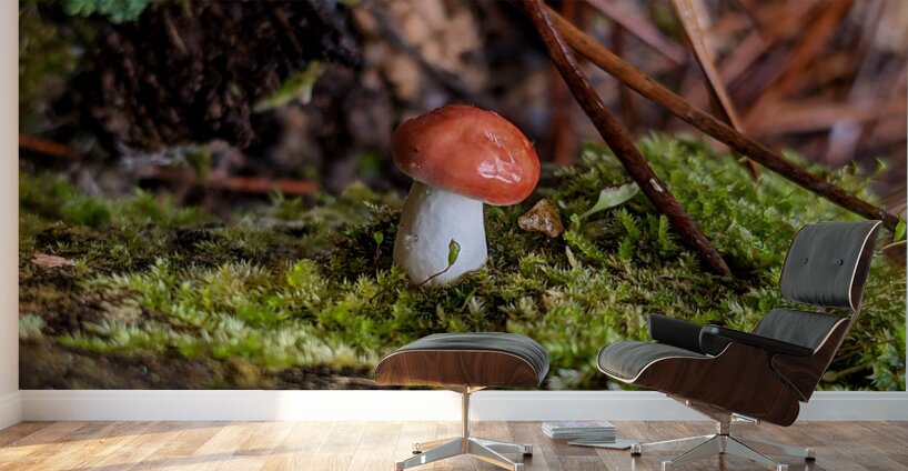 Tiny Mushroom Wall Murals