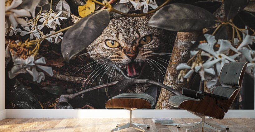 Momma Cat Wall Murals
