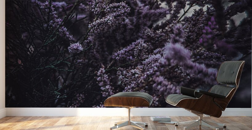 Purple Flowers Wall Murals