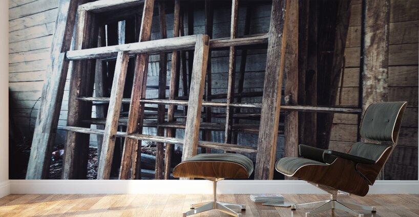 Window in Time Wall Murals