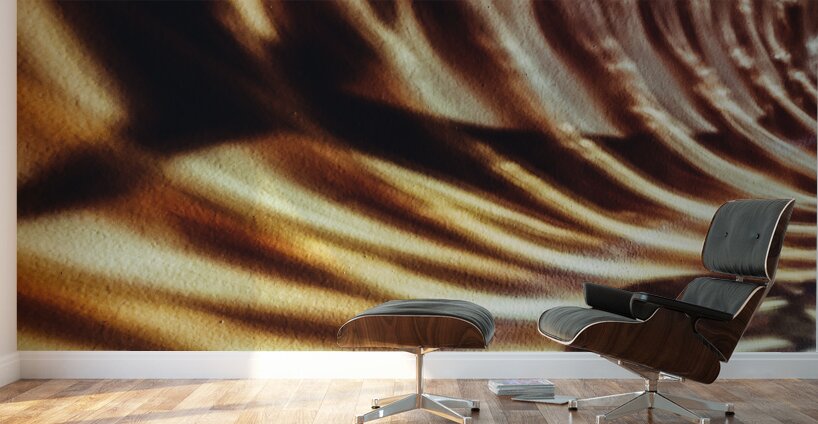 Shadow Work Wall Murals