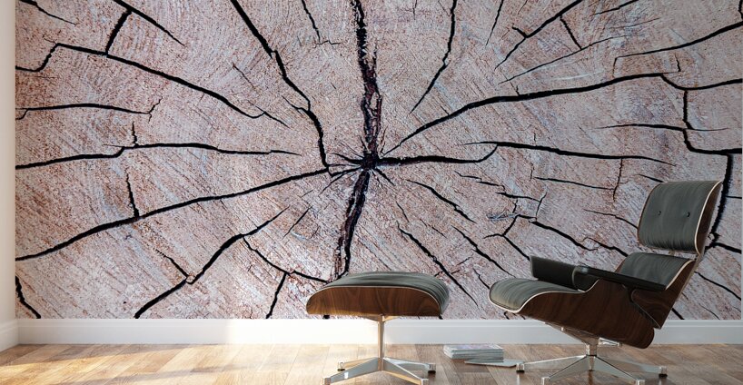 Tree Fingerprint Wall Murals