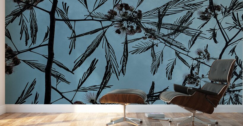 Mimosa Tree Wall Murals