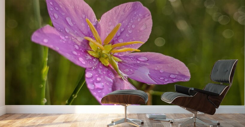 Pink Flower Wall Murals