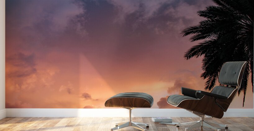 Daytona Beach Sunset Wall Murals