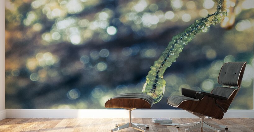 Beautified Slime Wall Murals